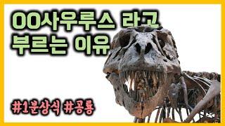 [1분상식] 공룡 이름에 사우루스가 많은 이유
