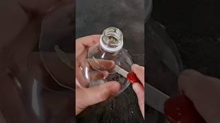 DIY Fairy House Lamp Using Plastic Bottle #clayitnow #shortvideo