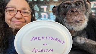 Meritocracy versus Ableism