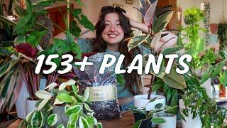 What it's like keeping up with a BIG Houseplant Collection