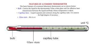 Features of a common thermometer