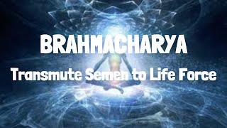 Brahmacharya Protocol