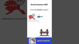 Emergency Surgery for Small Intestine Neuroendocrine Tumors: Consider Elective Surgery?
