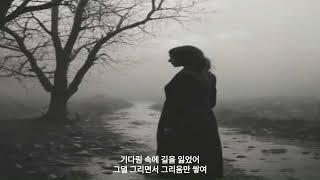 눈물의 아리랑2 #kpop #music #lyrics #song #nativeamerican #Amazing