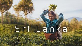 Sri Lanka. The best place to spend winter.