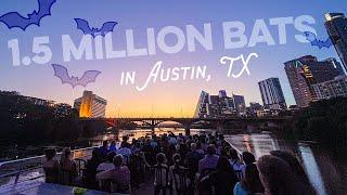 How to See the Austin Bats