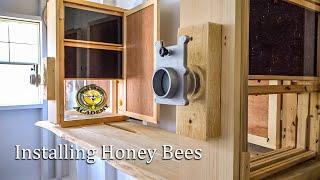 How to Install Honey Bees in Observation Hives, Walk Away Splits with Hive Butler, step by step.