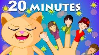 Cat Finger Family And 20 More Finger Family Songs | HD Rhymes For Children