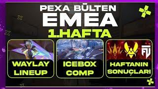 VCT 2025 EMEA 1. HAFTA | PEXA BÜLTEN