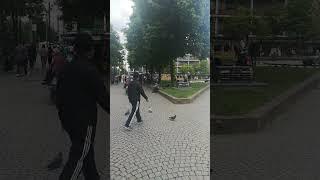 Маннхайм это город в Германии, в котором в основном живут турки. Иностранный город в Германии.