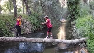 Dirty Dancing log scene