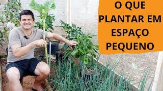 O que PLANTAR em ESPAÇOS PEQUENOS e fazer uma HORTA PRODUTIVA da FORMA CERTA