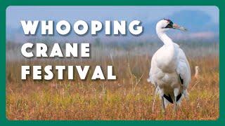 Port Aransas Whooping Crane Festival