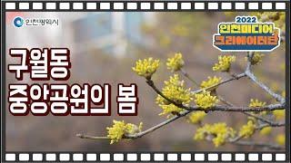 인천시 ㅣ 구월동 중앙공원의 봄 ㅣ #2022인천미디어크리에이터