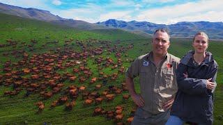 The Business of Beef with Delwyn Roberts