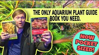 Is This NEW Aquatic Plant I.D. Book BETTER than the Original? Christel Kasselmann Aquarium Plants