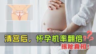 清宫后，怀孕机率翻倍？揭秘真相！#怀孕 #辟谣