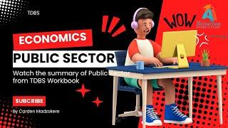 Economics Grade 12 | Public Sector Summary | by Carden Madzokere