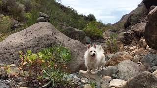 Barranco de Taurito