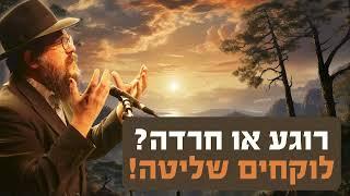 הרב שניאור אשכנזי • רוגע או חרדה? לוקחים שליטה