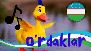 O'rdaklar - DUCK - Uzbek Fun Music for Kids & Adults