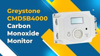 Carbon Monoxide Detector | Greystone | Instrukart