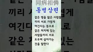 유익한 한줄기 고사성어 동병상련