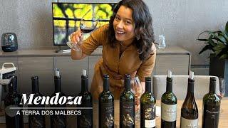 Mendoza: a terra dos Malbecs | CNN Viagem & Gastronomia