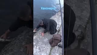 #Канонерка 2