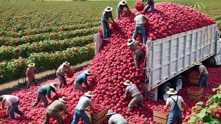 Farmers Use Both Robots And Immigrant Workers To Harvest Millions Of Tons Of Fruits & Vegetables