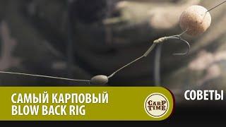 САМЫЙ трофейный КАРПОВЫЙ поводок? Учимся вязать КАРПОВЫЙ монтаж BLOW BACK RIG! СОВЕТЫ