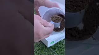 Testing my soil #lawnlife #lawncare #lawn #lawnleveling