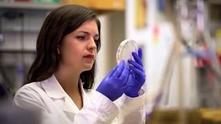 Discover the Driskill Graduate Program at Northwestern University in One  Minute