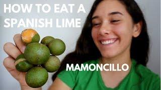 How to Eat a Spanish Lime (aka Quenepa/Mamoncillo)