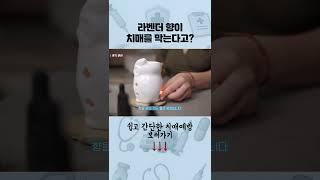 라벤더, 로즈마리, 계피 향으로 치매 예방 해보세요!