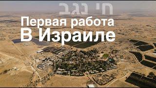 Моя первая работа в Израиле в отеле Chai Negev