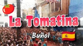 La Tomatina Festival 2023 | España | #latomatina #travel #europe #fun #checklist #indiantraveller