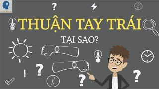 Tổng hợp những kiến thức thú vị - TẬP 1 | Những kiến thức có thể bạn chưa biết | Tri thức nhân loại