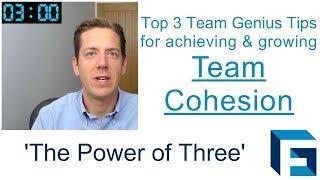 Team Cohesion - Achieve and grow it with these three tips and encouragements