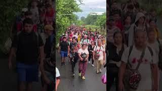 Migrant caravan headed to U.S. border ahead of Trump presidency