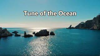 Tune of the ocean | Peace of Mind | Positive Energy | Natural Beauty