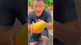 अजीब चाइना के गज़ब फल l China's Weird Fruits l #shorts #china #fruit #facts #viral