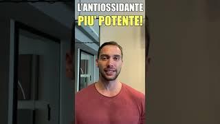 l'ANTIOSSIDANTE più POTENTE DI TUTTI (veramente) #shorts