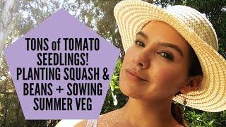 GARDEN VLOG#11 TOMATO SEEDLINGS, BASIL PLANTS & LOADS of CHORES!