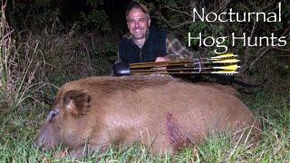 NOCTURNAL HOG HUNTS! Traditional Bowhunting