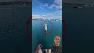 #fishing #memes #fish #video #shortsfeed #amazing #trending #funny #comedyfilms #gaming