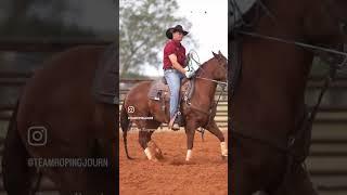 2024 NFR Steer Break-In