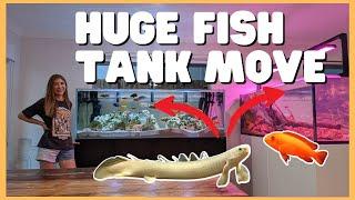 Moving Two HUGE Fish Tanks! All in One Day