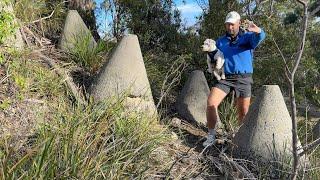 Did Tasmania Build Anti-tank Line to Stop Japanese Invasion? Top Secret