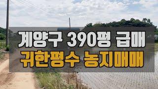 계양구 토지 390평 농지매매 동네인접 / 4억4천만원